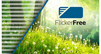 Philips BDM4037UW Test der Flicker-Free-Funktion